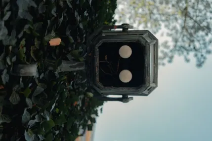 Winmasters Kazino Mobilioji programa